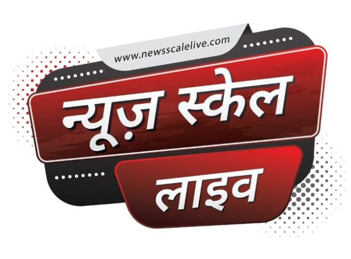Ns Logo