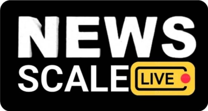 News Scale logo 2