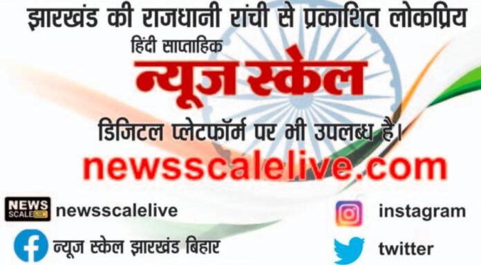 News Scale Live Logo