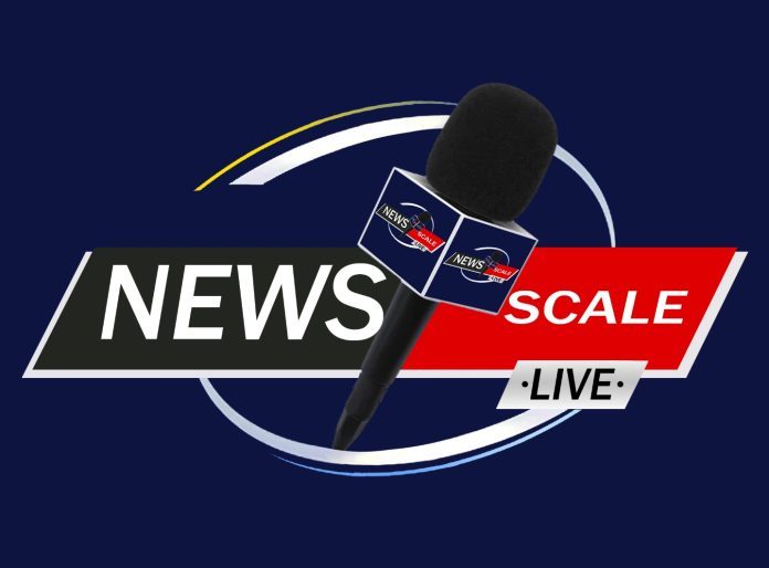 ns logo