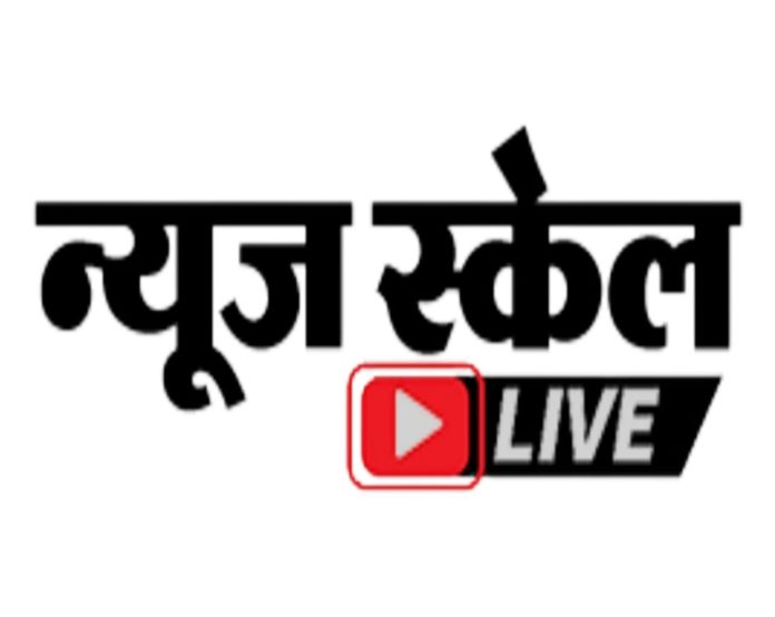 logo Ns