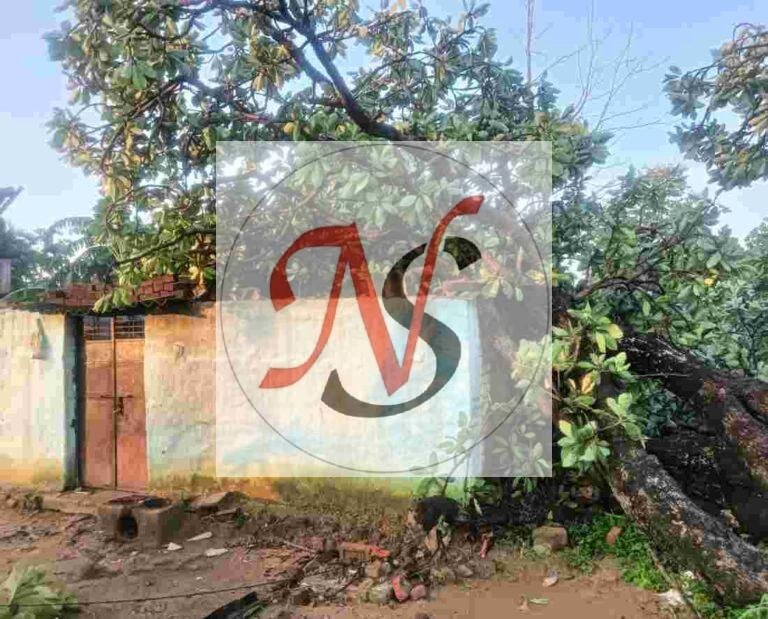 तेज आंधी-बारिश ने मचाई तबाही, कई घर क्षतिग्रस्त
