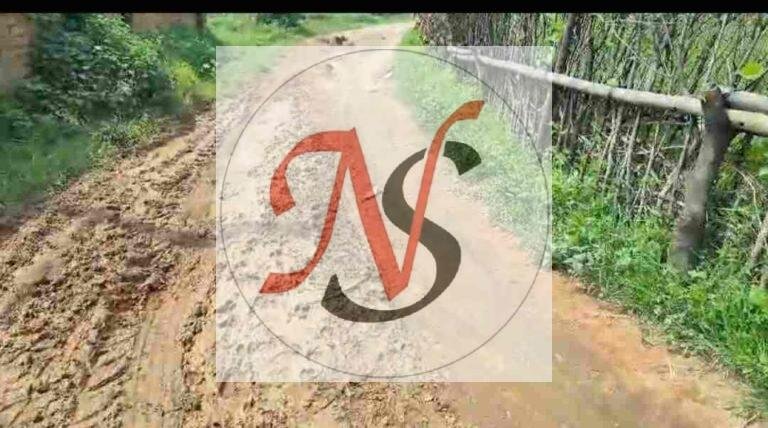 टेंडर के बाद भी नहीं बनी सड़क, 200 आदिवासी परिवारों की उम्मीद अधूरी