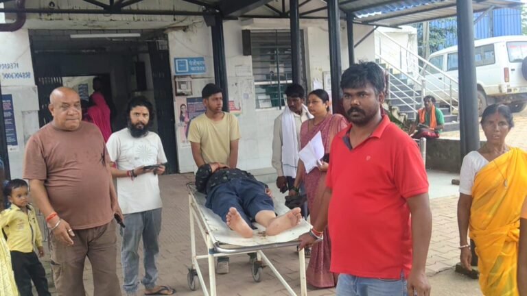सेन्हा में ट्रक ने फोर व्हीलर को मारी जोरदार टक्कर, एक घायल