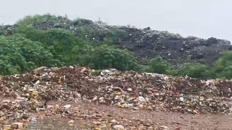 लोहरदगा नगर परिषद का कचरा ग्रामीणों के लिए बना मुसीबत, दुर्गंध से परेशान ग्रामीण और राहगीर