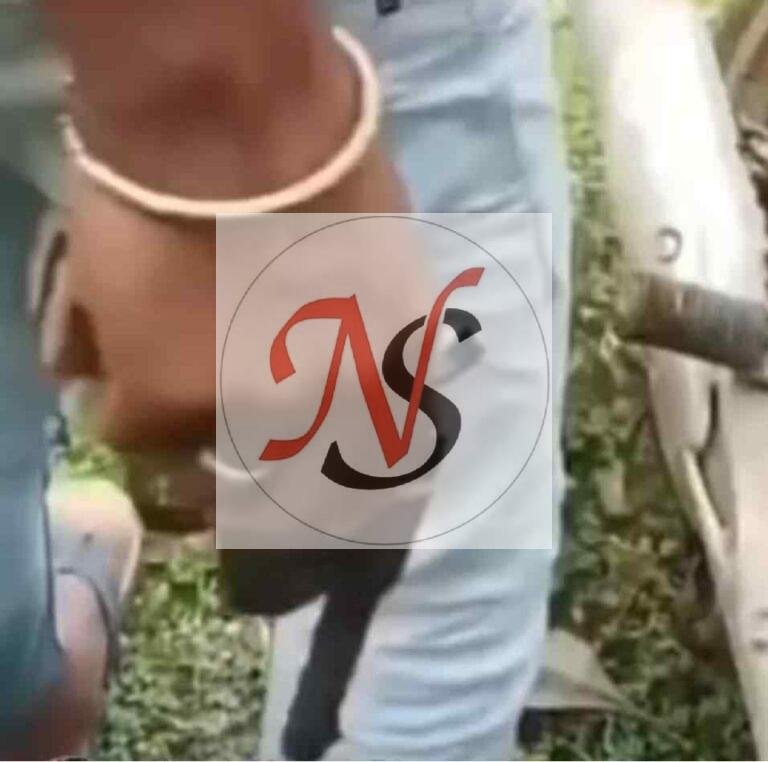 देसी कट्टा लहराने का वीडियो वायरल