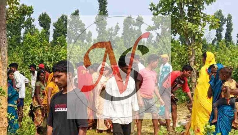पेड़ से लटका मिला युवती का शव, पुलिस जांच में जुटी