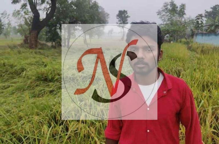 अर्णव चक्रवात से बारिश, धान और रबी फसलों पर संकट; किसानों ने मांगा मुआवजा